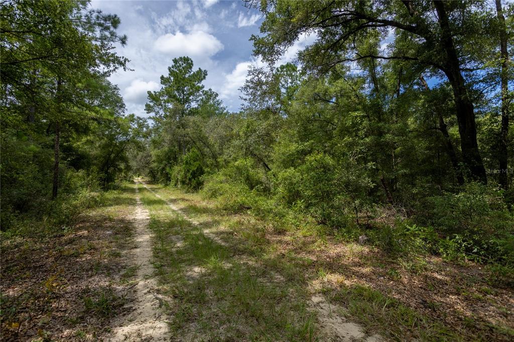 Property for sale at 0 NE 81ST STREET, BRONSON, FL, 32621