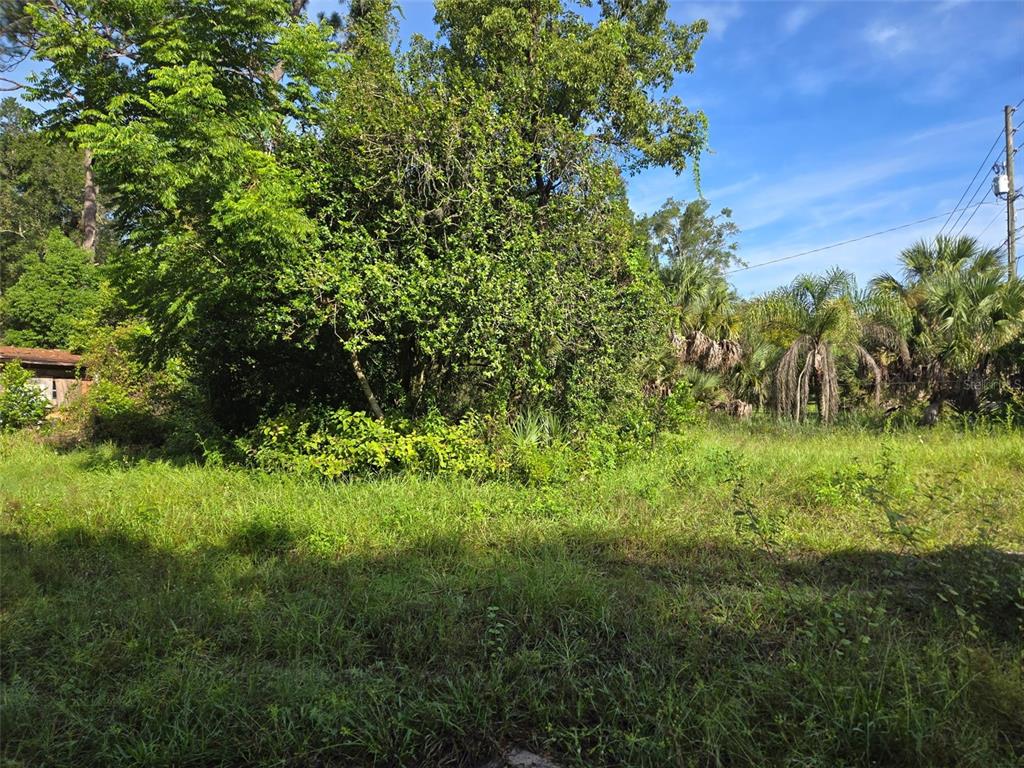 Property for sale at 5028 MOUNT PLYMOUTH ROAD, APOPKA, FL, 32712