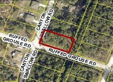 Property for sale at 0 CANYON SWALLOW RD (PARCEL KEY 00784734), WEEKI WACHEE, FL, 34614