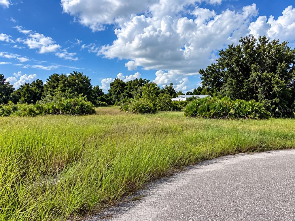 Property for sale at 4 IDLE COURT, PLACIDA, FL, 33946