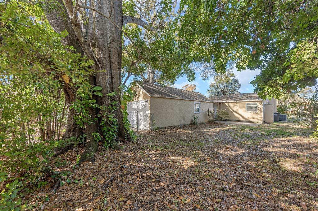 Rear Yard - Full View