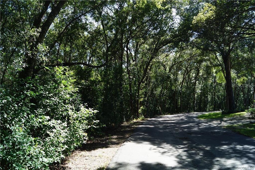Property for sale at 3505 N WOODGATE DRIVE, BEVERLY HILLS, FL, 34465