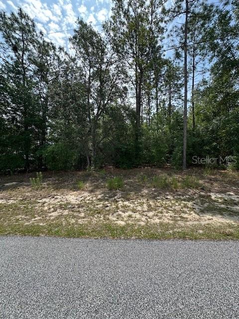 Property for sale at 920 W RUM PLACE, DUNNELLON, FL, 34434