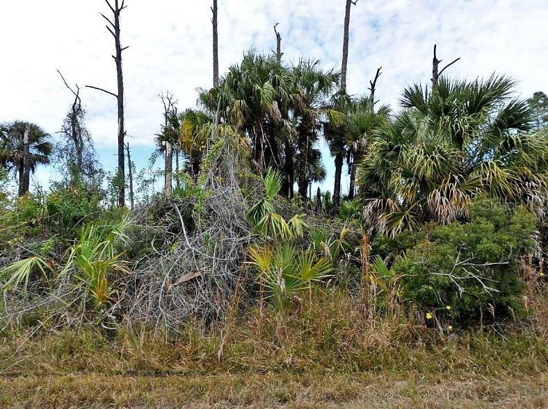 Property for sale at EWEN DRIVE, NORTH PORT, FL, 34288