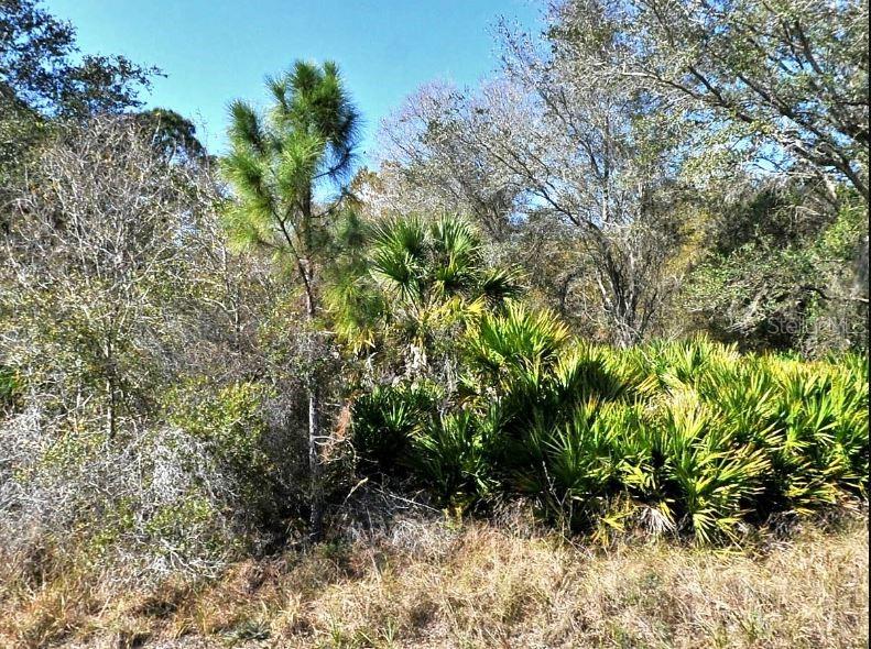 Property for sale at NORTON DRIVE, NORTH PORT, FL, 34288