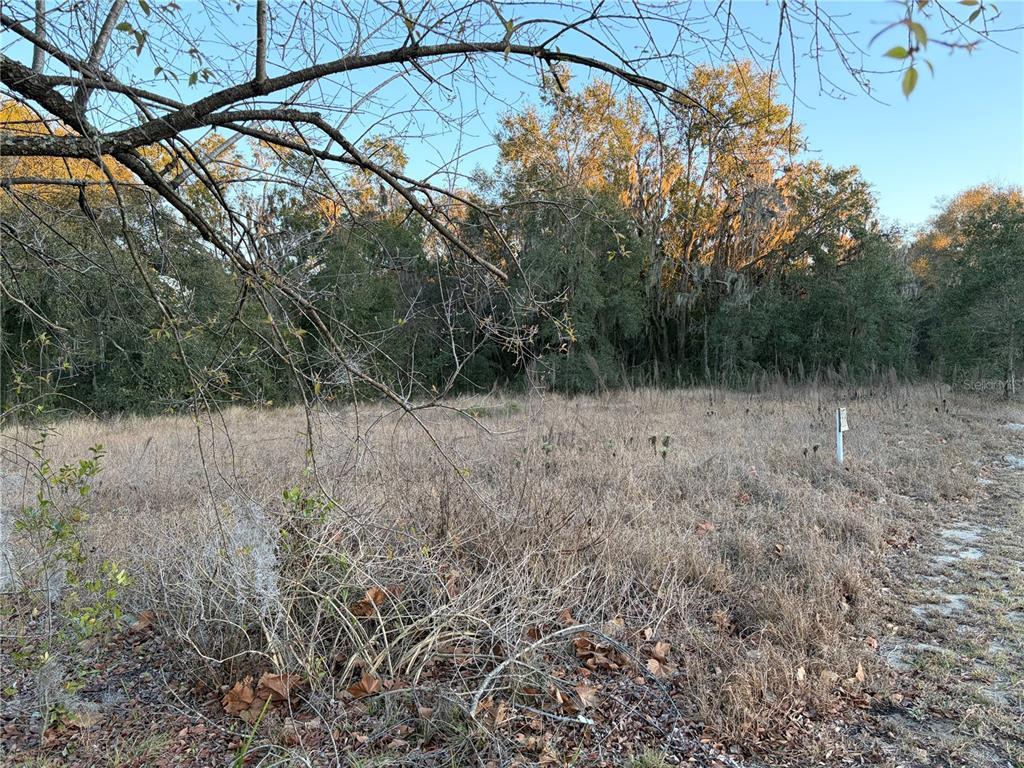 Property for sale at 13434 MARYLAND AVENUE, ASTATULA, FL, 34705