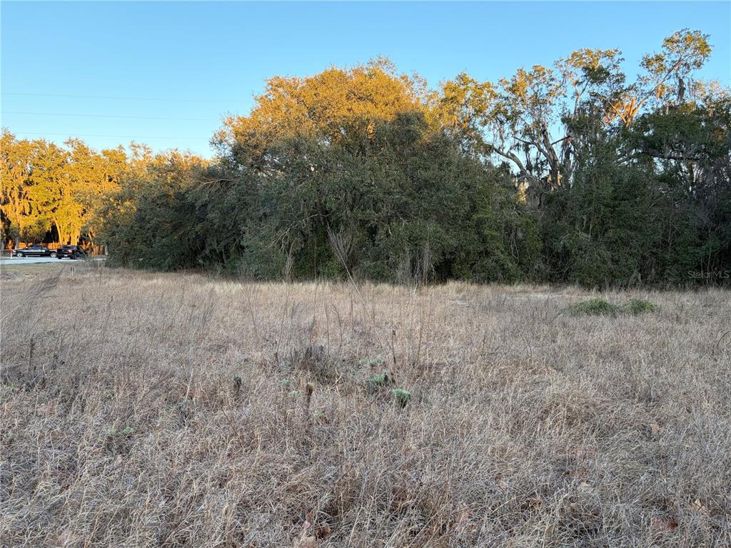 Property for sale at 13434 MARYLAND AVENUE, ASTATULA, FL, 34705