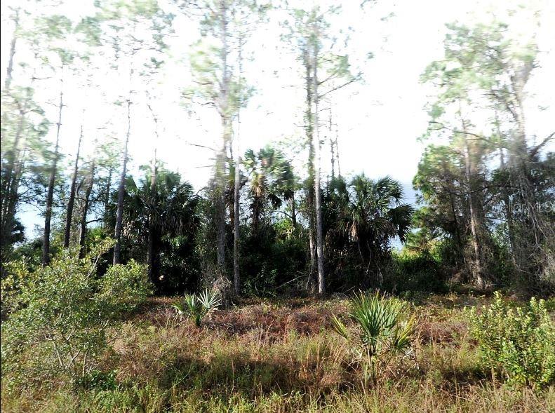Property for sale at HAMPSHIRE CIRCLE, NORTH PORT, FL, 34288