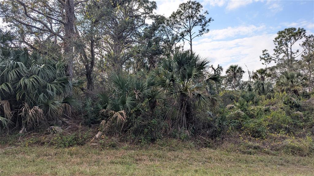 Property for sale at 107 JUPER STREET, PORT CHARLOTTE, FL, 33953