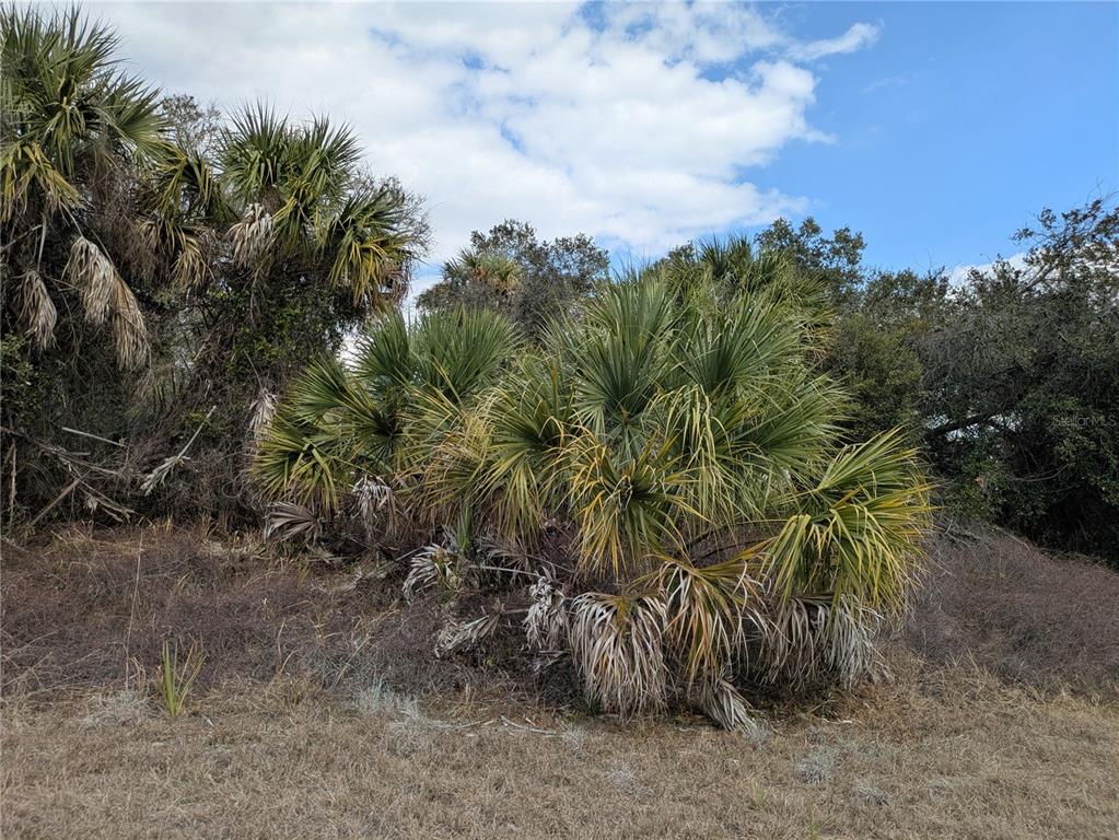 Property for sale at CASCO CIRCLE, NORTH PORT, FL, 34288