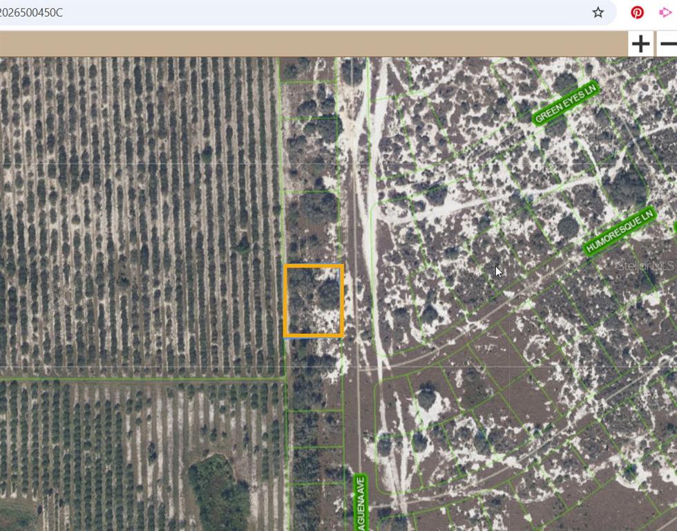 Property for sale at 725 MALAGUENA AVENUE, LAKE PLACID, FL, 33852