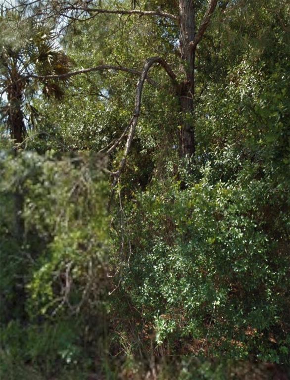 Property for sale at OHIO ROAD, NORTH PORT, FL, 34291