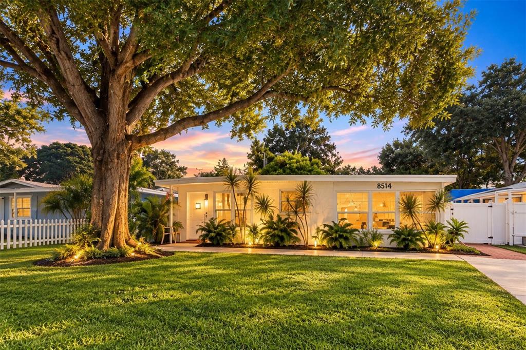 Charming curb appeal framed by a gorgeous mature oak tree.