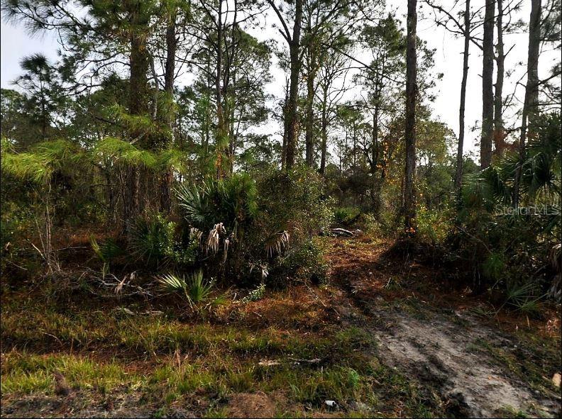 Property for sale at STARFISH AVENUE, NORTH PORT, FL, 34291