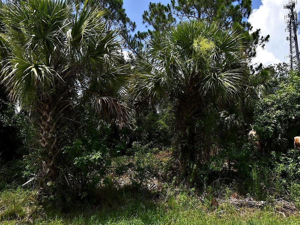 Property for sale at SAGO PALM ROAD, NORTH PORT, FL, 34291