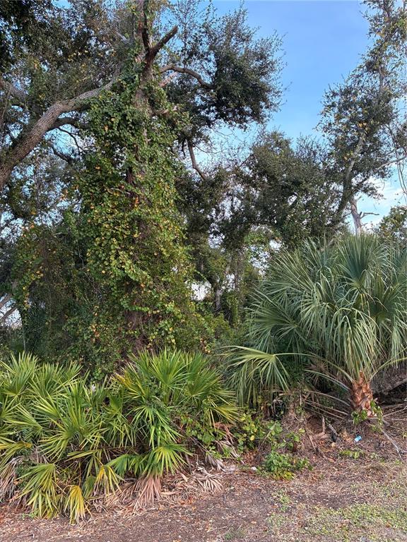 Property for sale at MENDAVIA TERRACE, NORTH PORT, FL, 34286