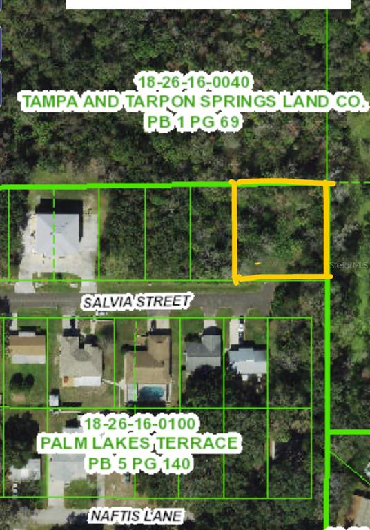 Property for sale at 4715 SALVIA STREET, NEW PORT RICHEY, FL, 34652