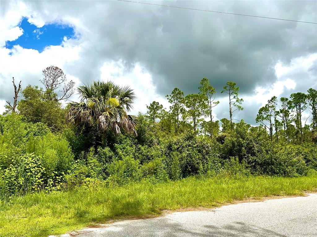 Property for sale at RAVEN STREET, NORTH PORT, FL, 34286