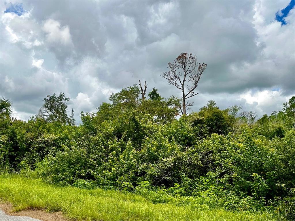 Property for sale at RAVEN STREET, NORTH PORT, FL, 34286