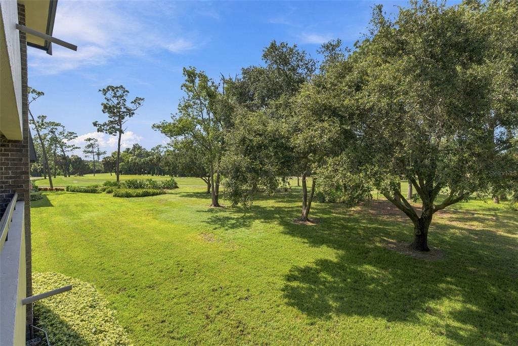 Golf Course Views