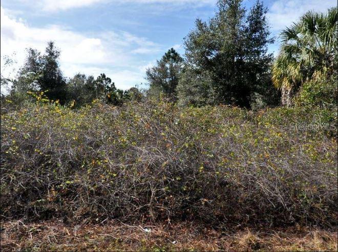 Property for sale at NEWMAN DRIVE, NORTH PORT, FL, 34288