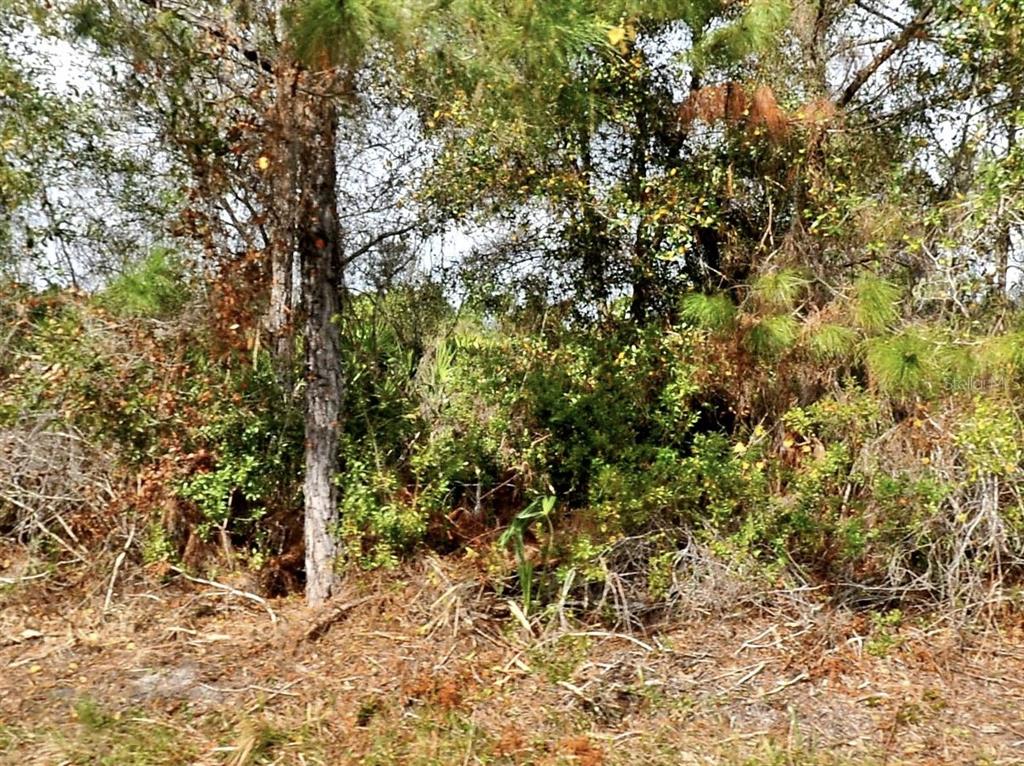 Property for sale at OHIO ROAD, NORTH PORT, FL, 34291