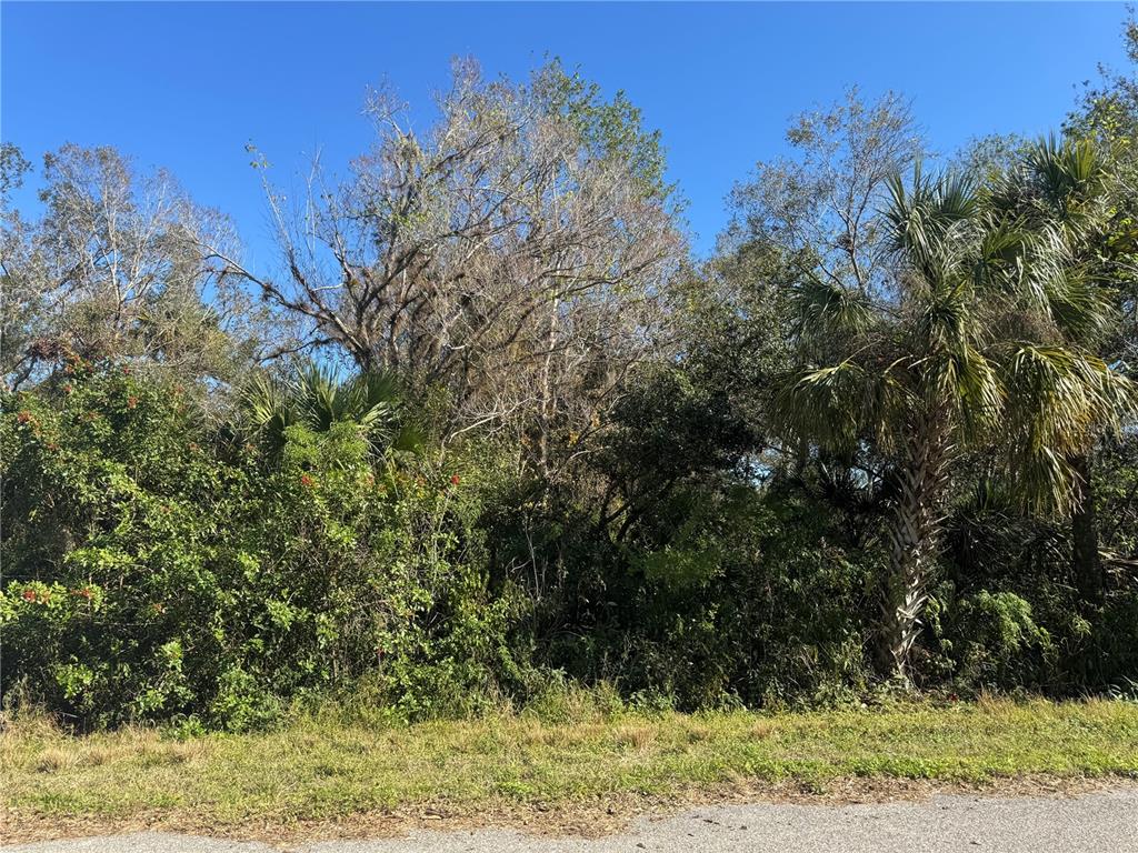 Property for sale at 194 RAY STREET, PORT CHARLOTTE, FL, 33954