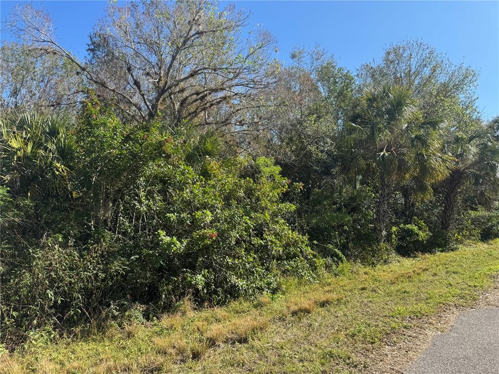 Property for sale at 194 RAY STREET, PORT CHARLOTTE, FL, 33954