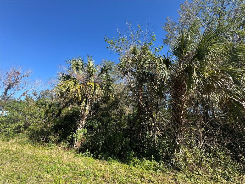 Property for sale at 194 RAY STREET, PORT CHARLOTTE, FL, 33954
