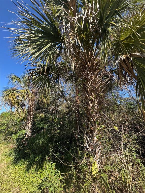 Property for sale at 194 RAY STREET, PORT CHARLOTTE, FL, 33954
