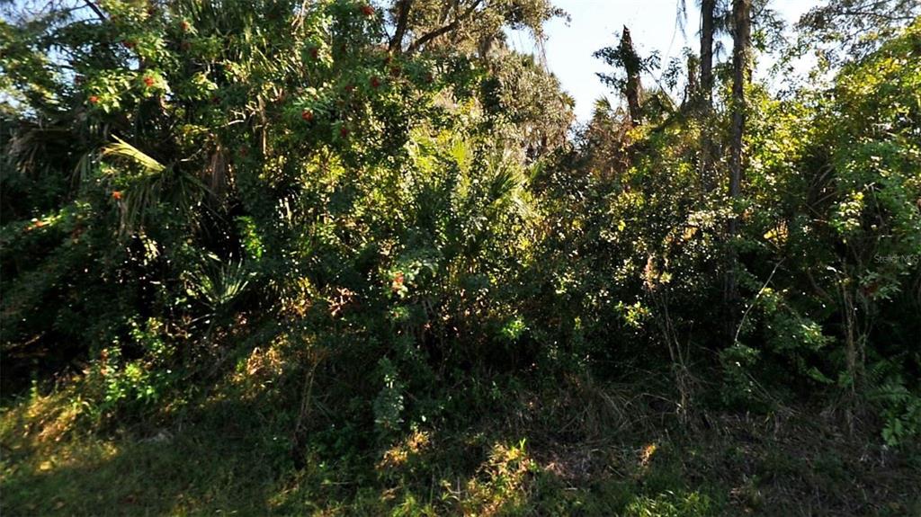 Property for sale at TUCSON ROAD, NORTH PORT, FL, 34286