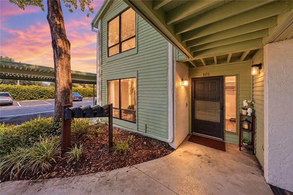 Exterior Front Night Shot in Beautifully Maintained Carrollwood