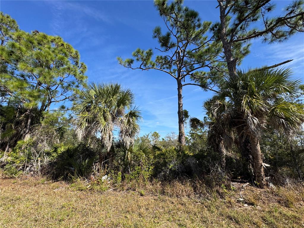 Property for sale at 3110 GILLOT BOULEVARD, PORT CHARLOTTE, FL, 33981
