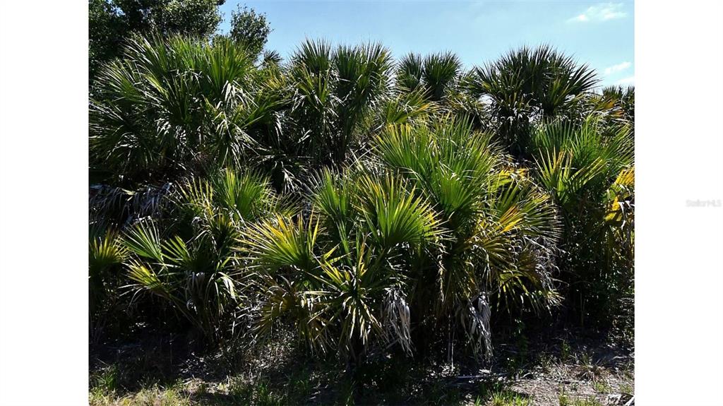 Property for sale at BIGFLOWER AVENUE, NORTH PORT, FL, 34288