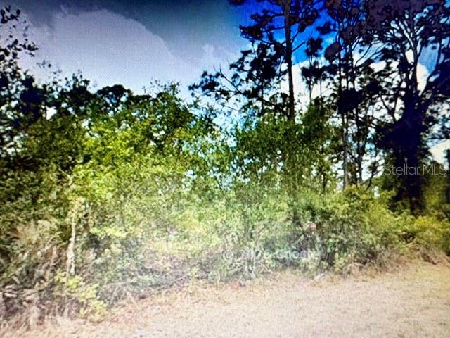 Property for sale at 13153 SELZER AVENUE, PORT CHARLOTTE, FL, 33953