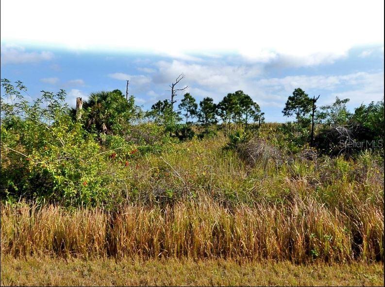 Property for sale at MANSFIELD CIRCLE, NORTH PORT, FL, 34288