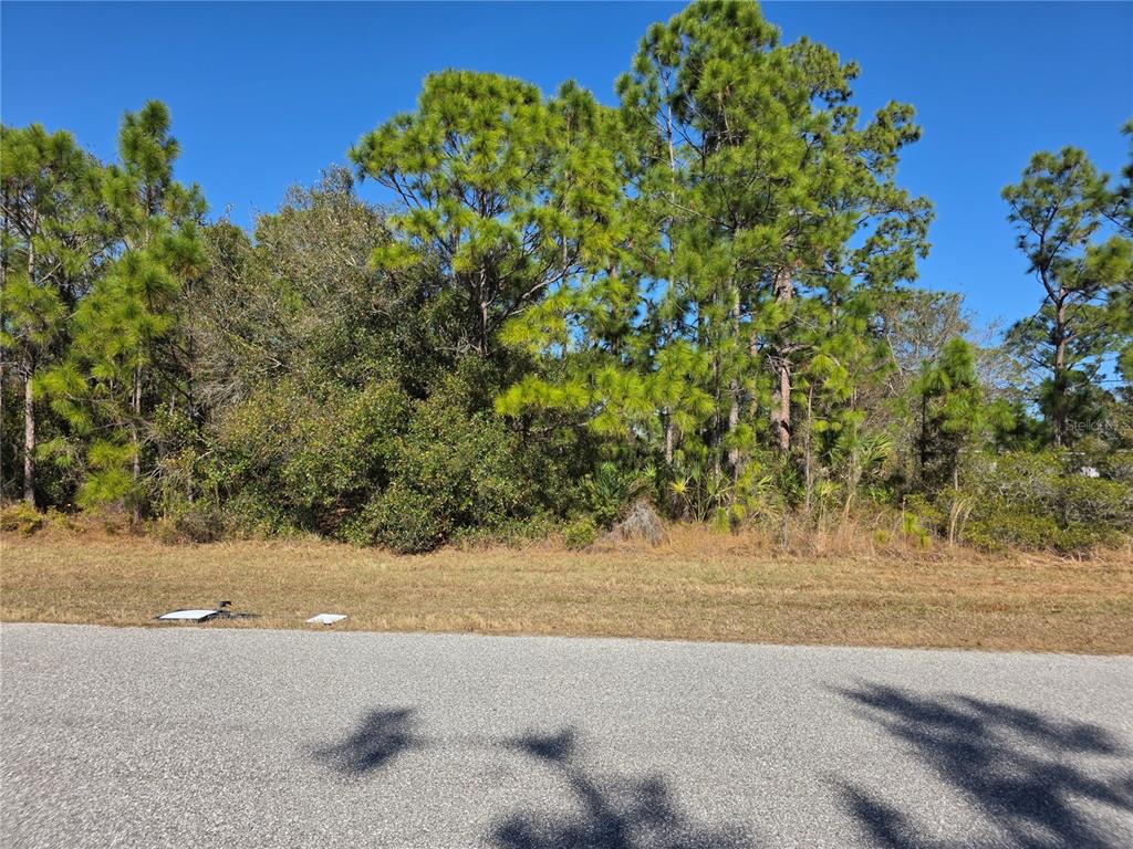 Property for sale at HORNBUCKLE BOULEVARD, NORTH PORT, FL, 34291