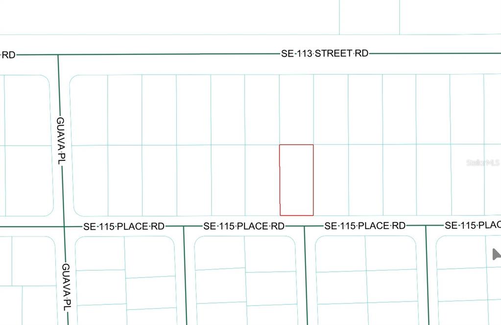 Property for sale at SE 115 PLACE ROAD, OCKLAWAHA, FL, 32179