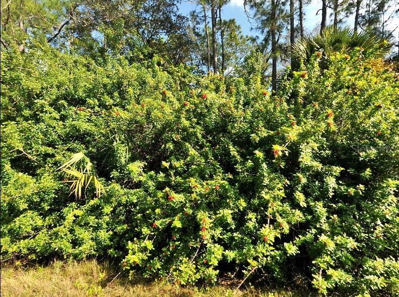 Property for sale at HAVEMEYER STREET, NORTH PORT, FL, 34288