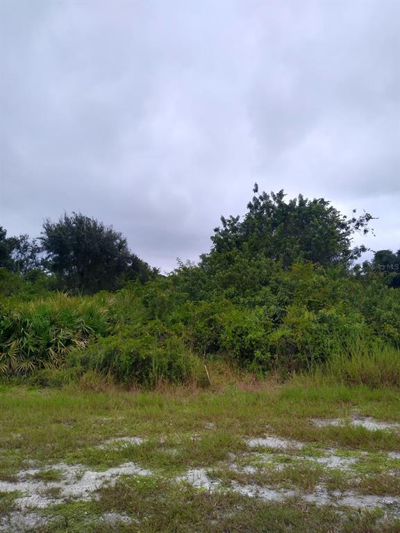 Property for sale at 12952 FORESMAN BOULEVARD, PORT CHARLOTTE, FL, 33981
