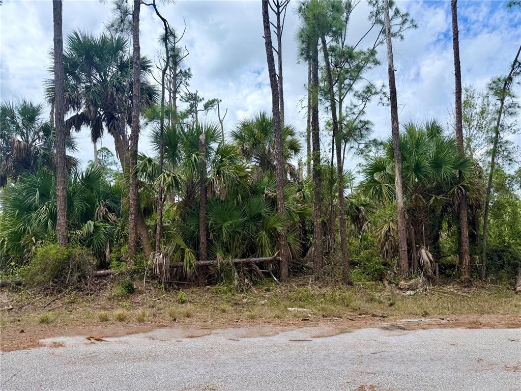 Property for sale at APRICOLA ROAD, NORTH PORT, FL, 34286