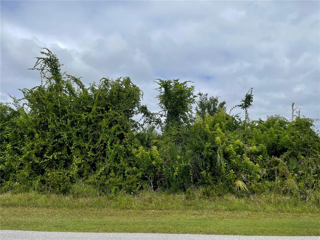 Property for sale at 11216 CARNEGIE AVENUE, ENGLEWOOD, FL, 34224
