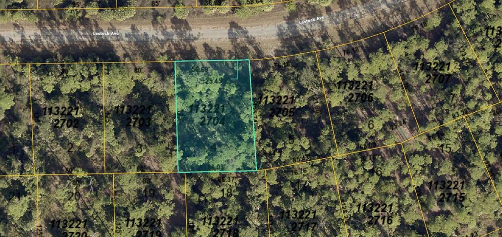 Property for sale at 1132212704 LESTOCK AVENUE, NORTH PORT, FL, 34288