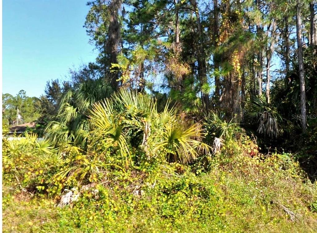 Property for sale at ZAMBRANA AVENUE, NORTH PORT, FL, 34286