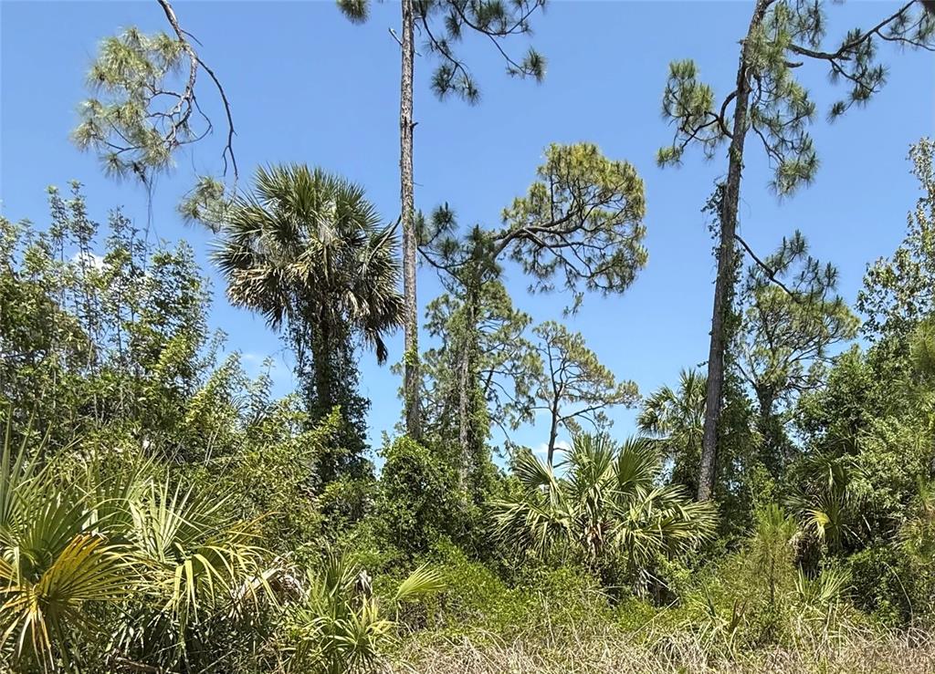 Property for sale at Lot 15 COASTAL STREET, NORTH PORT, FL, 34288