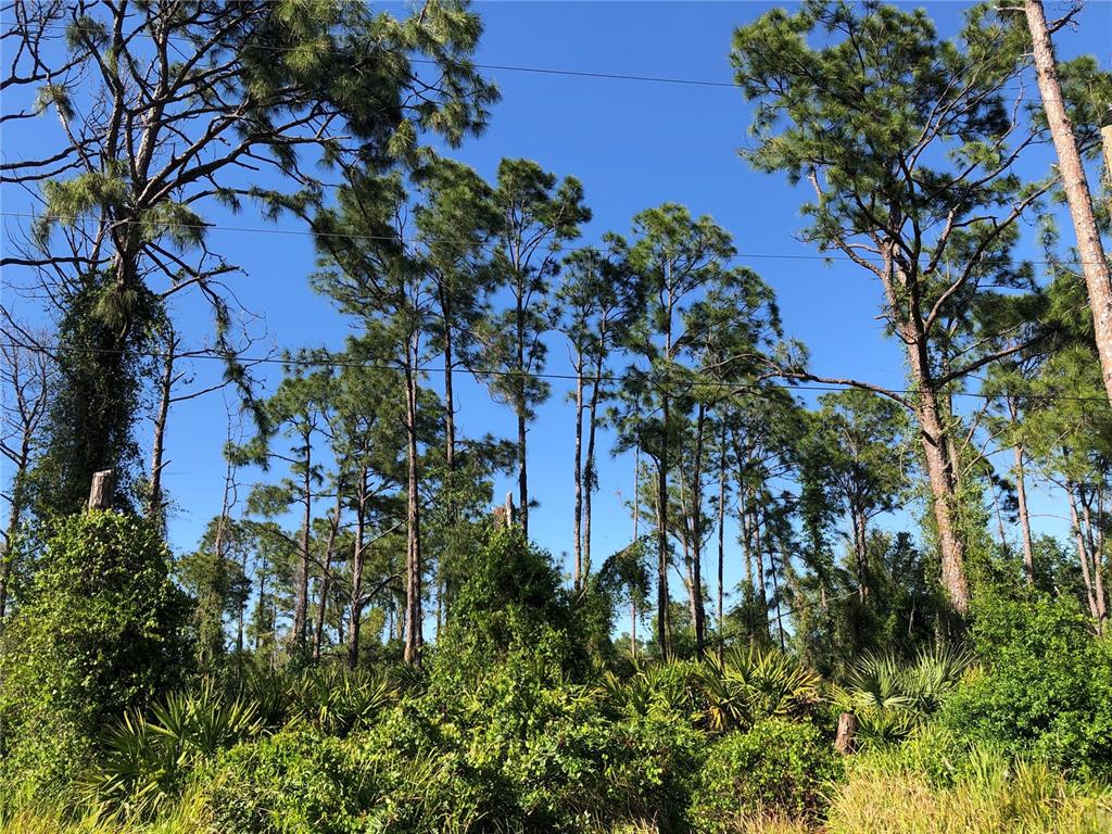 Property for sale at DANDURAND AVENUE, NORTH PORT, FL, 34291
