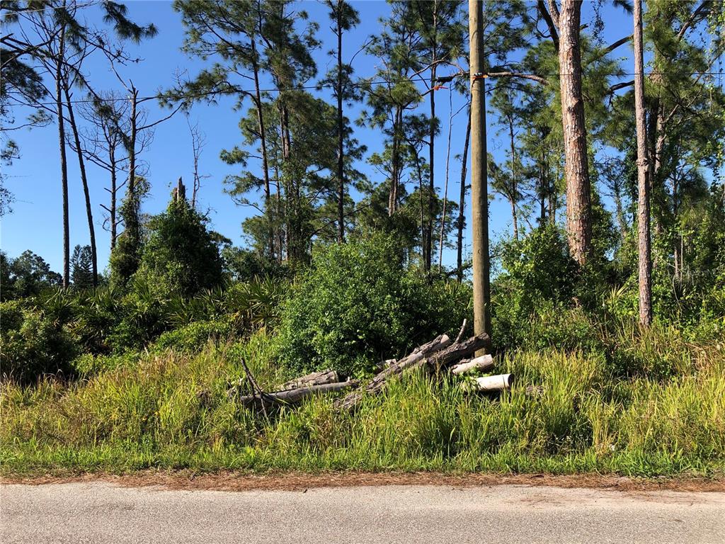Property for sale at DANDURAND AVENUE, NORTH PORT, FL, 34291