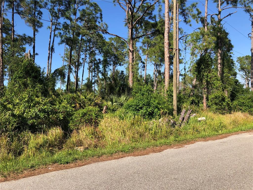 Property for sale at DANDURAND AVENUE, NORTH PORT, FL, 34291