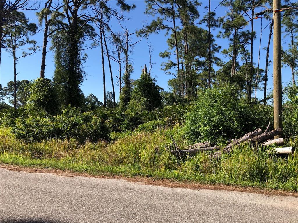 Property for sale at DANDURAND AVENUE, NORTH PORT, FL, 34291