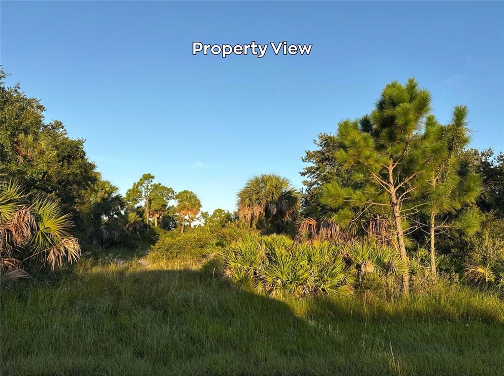 Property for sale at 4387 SCHNEIDER STREET, PORT CHARLOTTE, FL, 33981